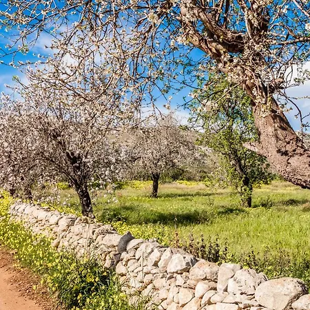 Holiday home Casa Sacramento Syracuse